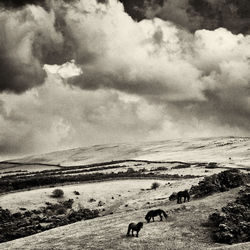 View of desert against cloudy sky