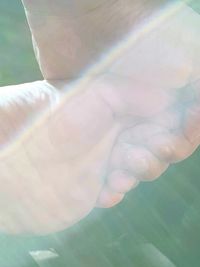 Close-up of hand on plant