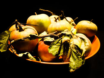 Close-up of fruits against black background