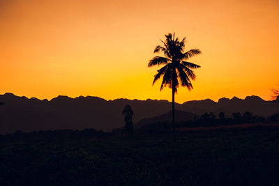 Palm tree silhouette background. california sunset landscape. tropical forest and mountains. 