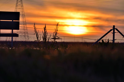 Silhouette plants on land against sky during sunset