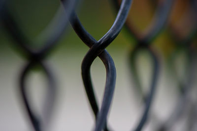 Close-up of metal fence against blurred background