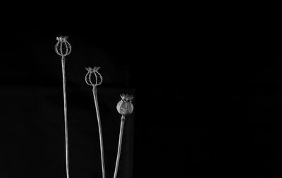 Low angle view of illuminated lamp at night