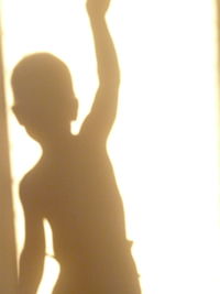 Sun shining through trees