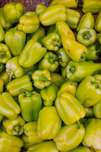 Colorful green , red and yellow peppers paprika background