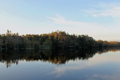 Reflection of trees in lake against sky