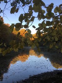 Reflection of trees on lake against sky during autumn