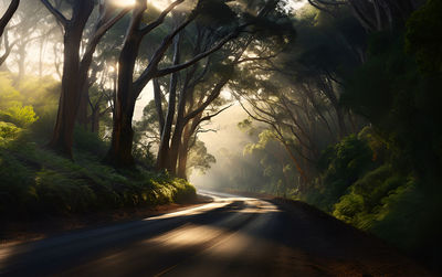 Trees in forest