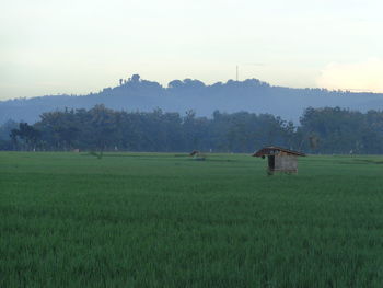 Scenic view of farm against sky