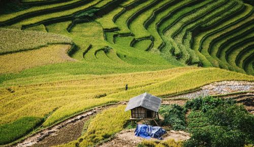 High angle view of terraced field in mù cang ch?i 