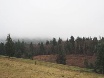 Scenic view of field and trees against sky