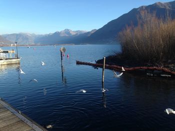 Scenic view of lake and mountains