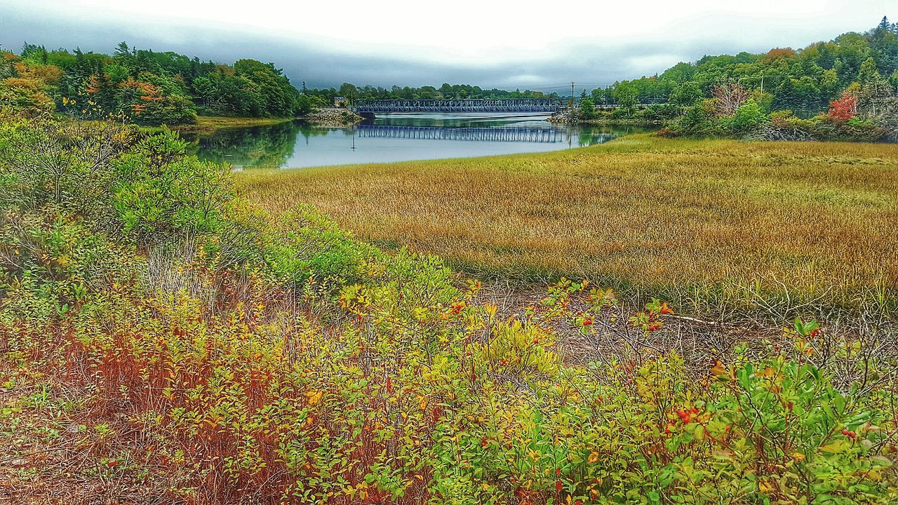 VIEW OF BRIDGE OVER RIVER