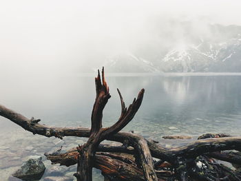 Close-up of frozen lake during winter