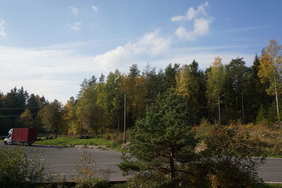 Trees against cloudy sky