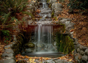 Scenic view of waterfall in forest