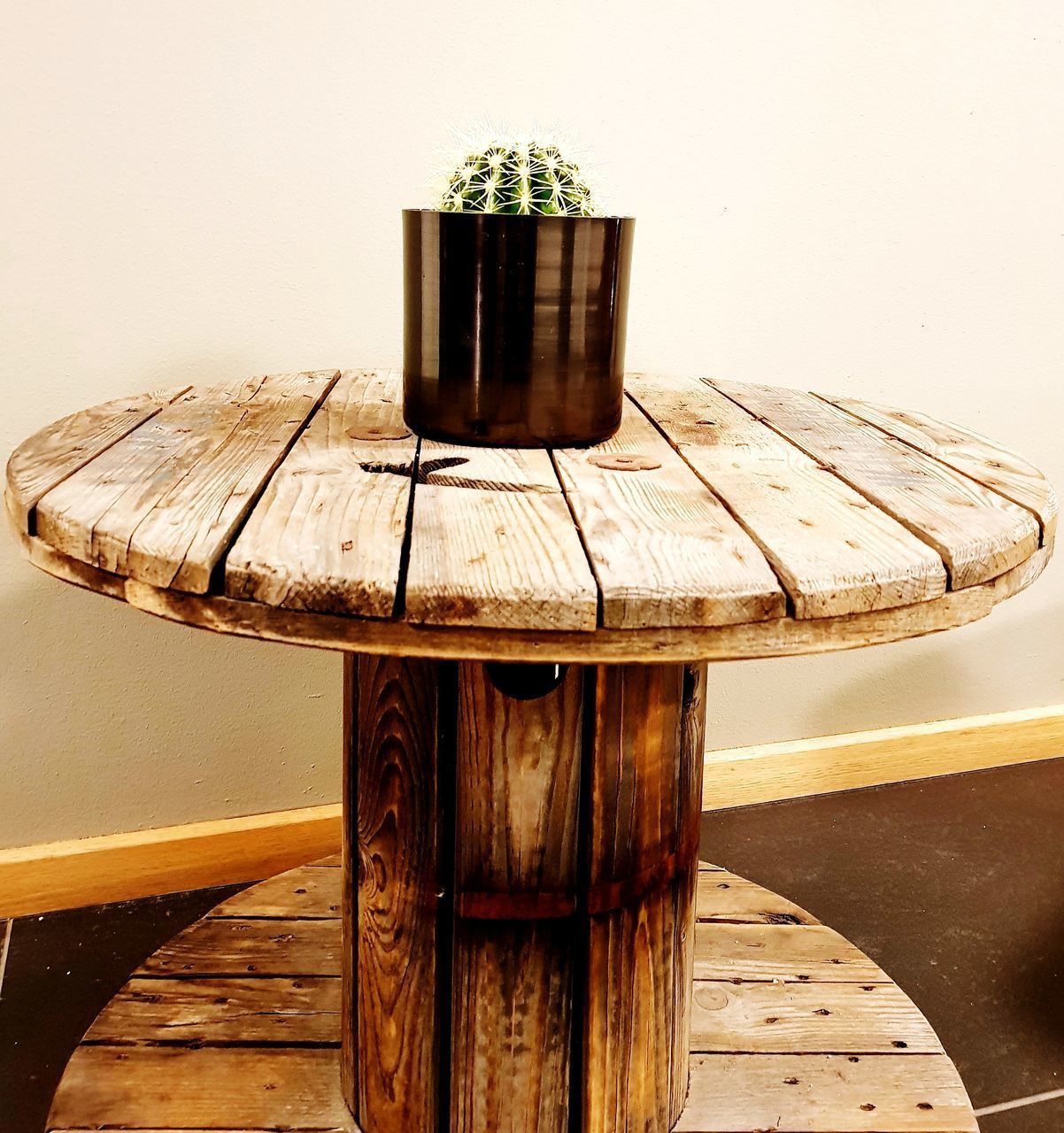 CLOSE-UP OF POTTED PLANTS ON TABLE