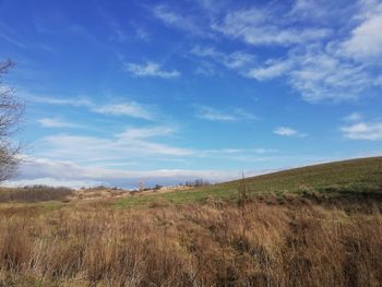 Scenic view of field against sky