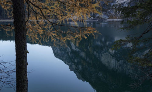 Reflection of trees in lake against sky