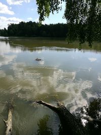 Scenic view of lake