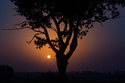 A summer sun rising in a very hazy morning with lots of dust particles in the air. misty sunrise. 