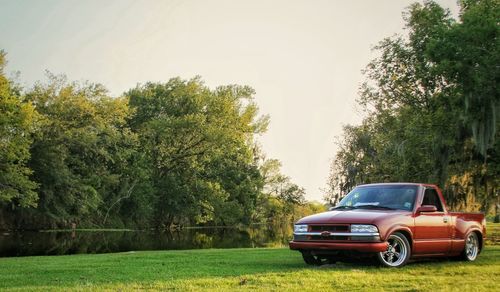 Car on grass by trees against sky