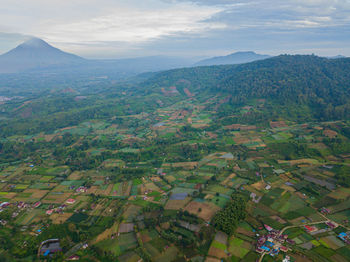 environment