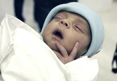 Close-up of white flower