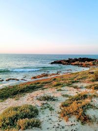 Scenic view of sea against clear sky