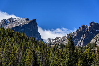 Low angle view of trees and mountains against blue sky