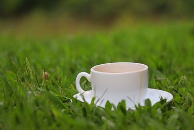 Coffee cup on table in field