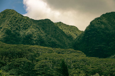 Scenic view of green lush mountains against sky in honolulu hawaii