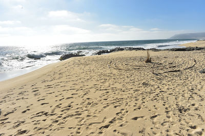 Scenic view of beach against sky