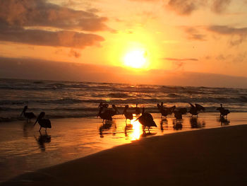 Scenic view of sea at sunset