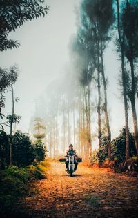 Rear view of man riding motorcycle on field