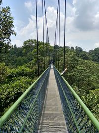 Footbridge in forest against sky