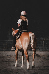 Rear view of man riding horse against sky