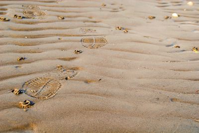 High angle view of footprints on sand at beach