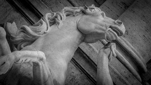 Low angle view of horse statue