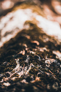 Macro shot of water