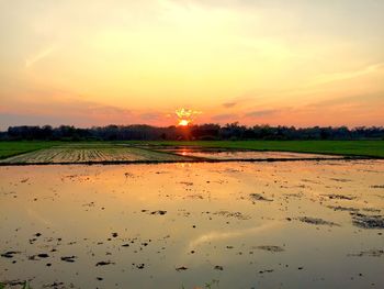 Scenic view of field against sky during sunset