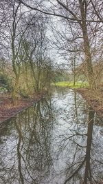 Scenic view of river amidst bare trees against sky