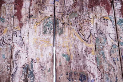 Full frame shot of tree trunk