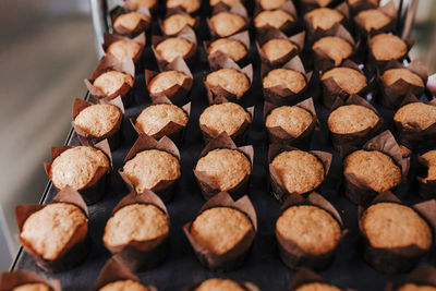 High angle view of cookies