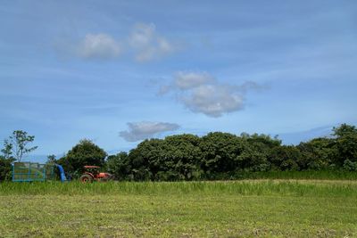 Trees on field against sky