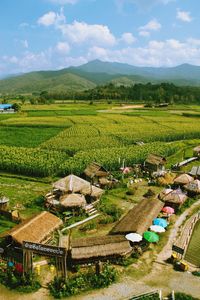 Scenic view of agricultural field against sky