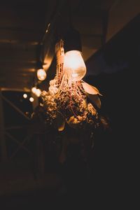 Close-up of illuminated lamp