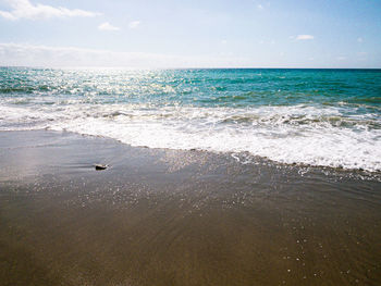 Scenic view of beach against sky