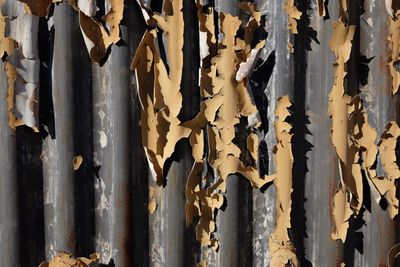 Close up of corrugated iron