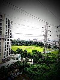 Plants growing on field by building against sky